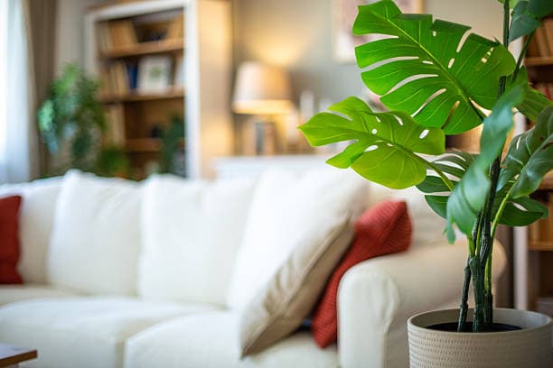 Creating Harmony in Your Living Room with Feng Shui